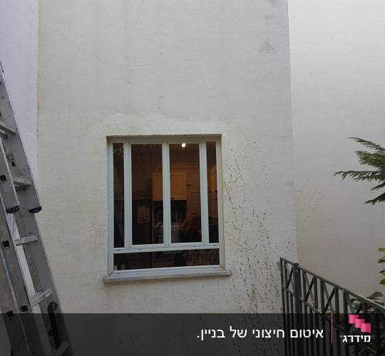 סולם ליד קיר עם חלון, סימני רטיבות על הקיר